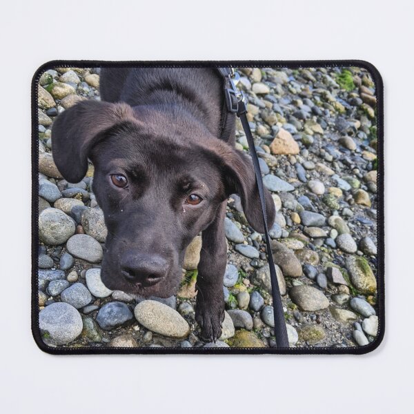 Item preview, Cute beach puppy black lab rescue designed and sold by PNWTraders.