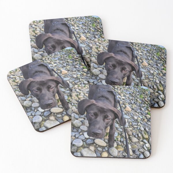 Item preview, Cute beach puppy black lab rescue  designed and sold by PNWTraders.