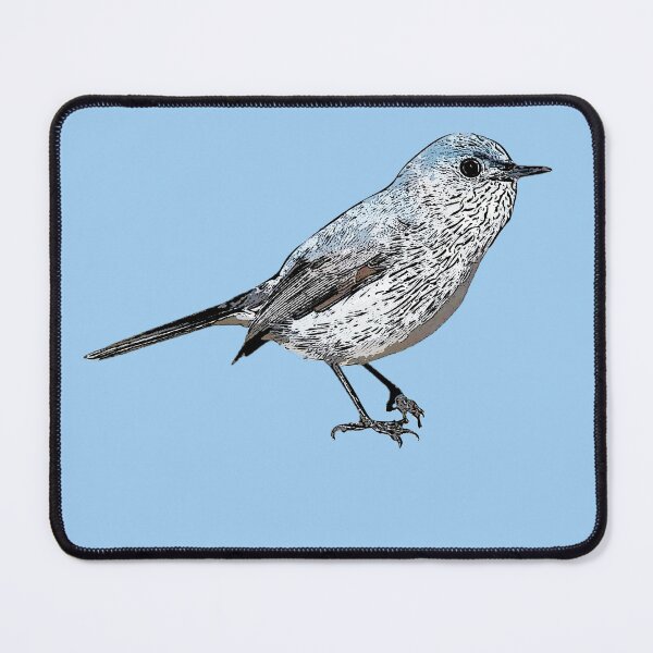 Item preview, Blue-gray Gnatcatcher Black Alternate Design  designed and sold by designsasstultd.