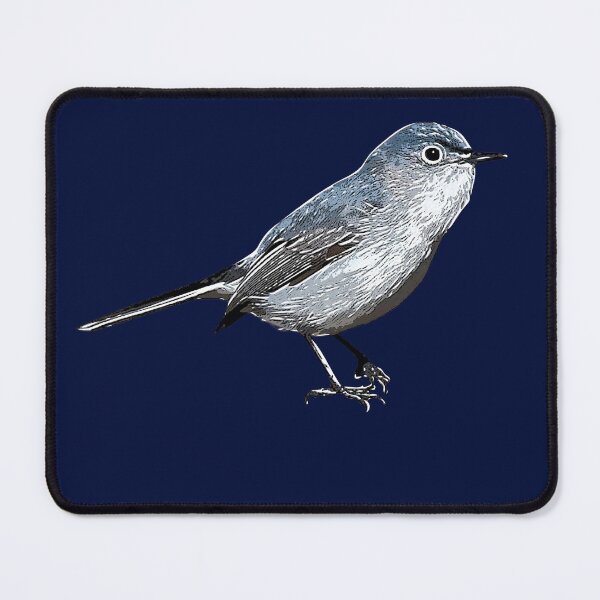 Item preview, Blue-gray Gnatcatcher White Alternate Design  designed and sold by designsasstultd.