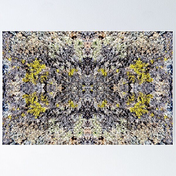 Item preview, I'm Lichen this Look designed and sold by Dave Stephens.