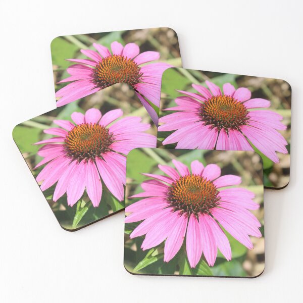 Item preview, Pretty echinacea flower  designed and sold by McFleur's Lens.