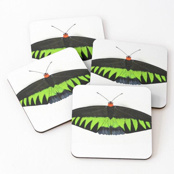 Item preview, Rajah Brooke’s Birdwing designed and sold by Scrub-in.