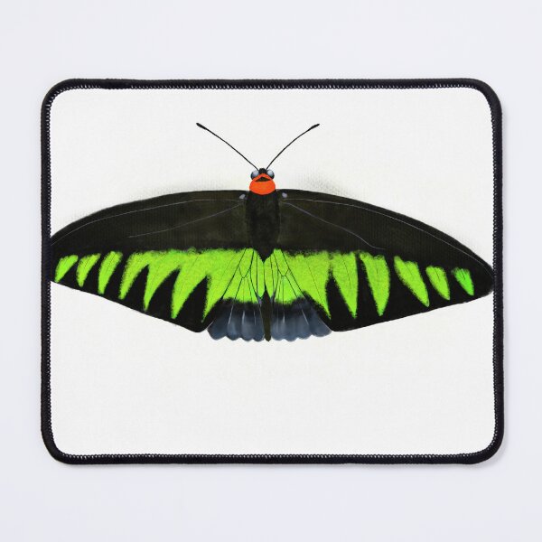 Item preview, Rajah Brooke’s Birdwing designed and sold by Scrub-in.