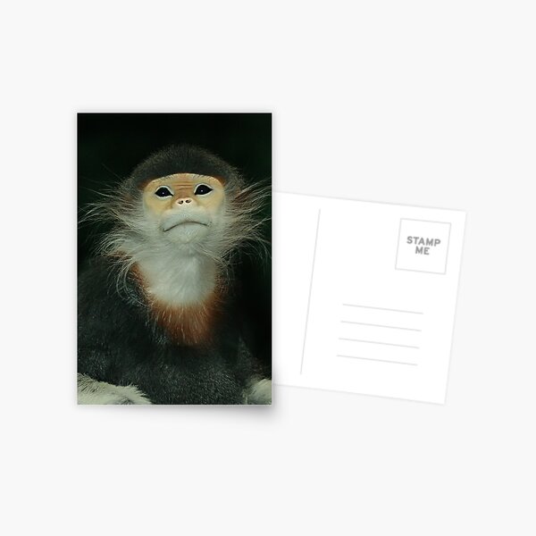 Item preview, Red Shanked Douc Langur designed and sold by TRussotto.