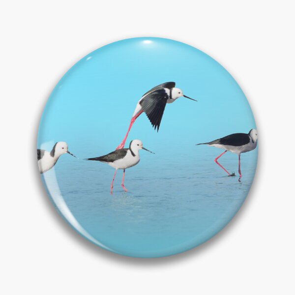 Item preview, Pied Stilt designed and sold by TedmBinegas.
