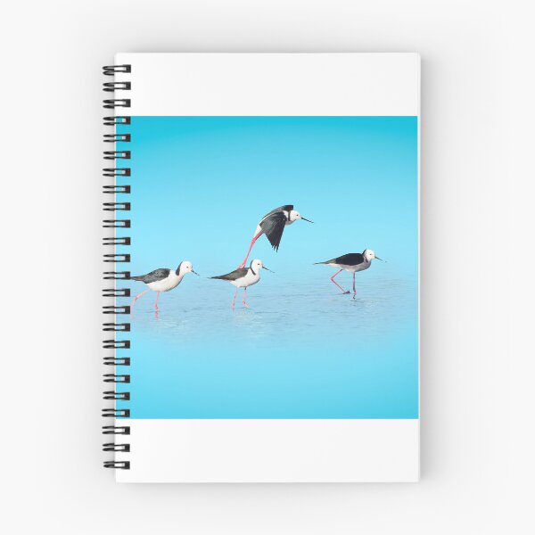 Item preview, Pied Stilt designed and sold by TedmBinegas.