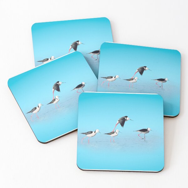 Item preview, Pied Stilt designed and sold by TedmBinegas.