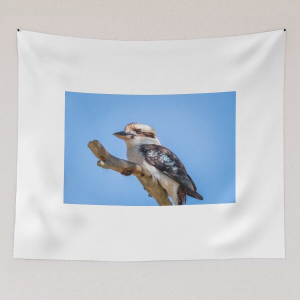 Item preview, Laughing Kookaburra designed and sold by TedmBinegas.