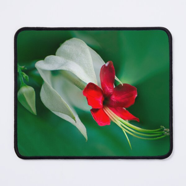 Item preview, Bleeding Heart designed and sold by TedmBinegas.