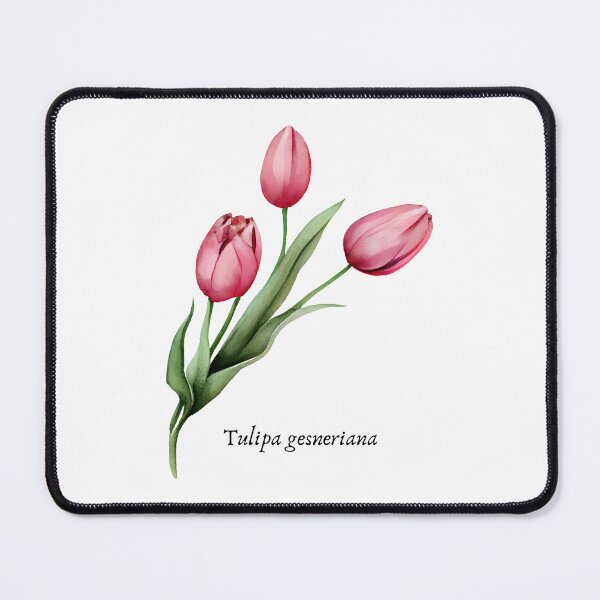Item preview, Tulip Scientific Name designed and sold by SedraDesigns.