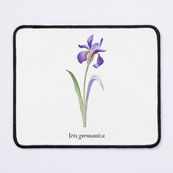 Item preview, Iris Scientific Name designed and sold by SedraDesigns.