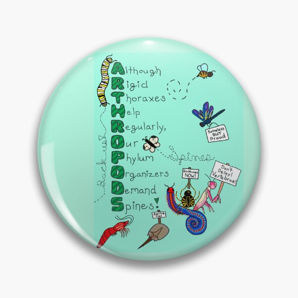 Item preview, Arthropods designed and sold by Pumpkiboo.