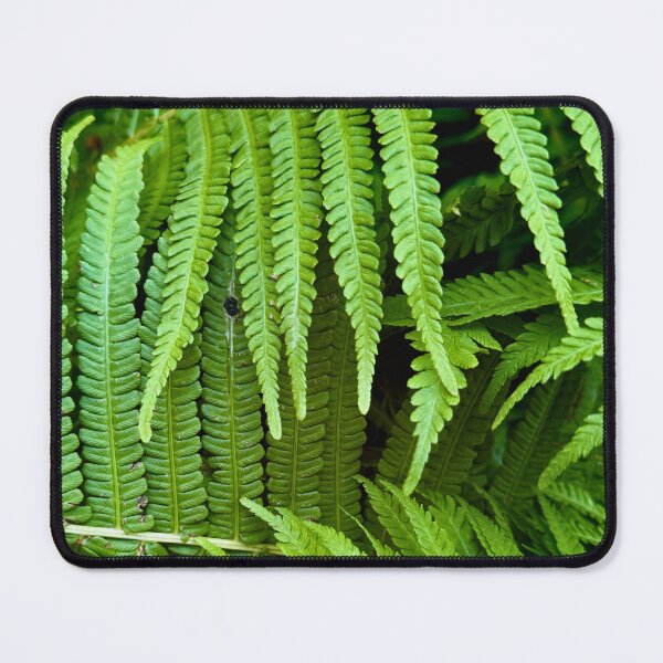 Item preview, Fern Fold designed and sold by South Bay Storyteller .