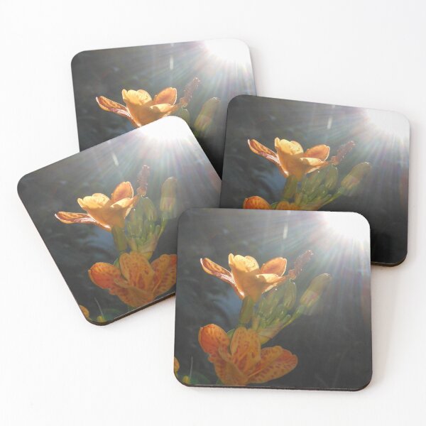 Item preview, Orange Iris designed and sold by Kashmere1646.