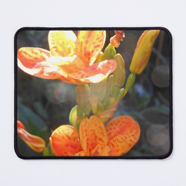 Item preview, Orange Iris II designed and sold by Kashmere1646.