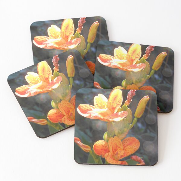 Item preview, Orange Iris II designed and sold by Kashmere1646.