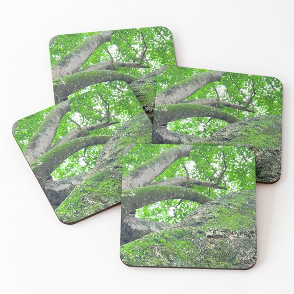 Item preview, Wise Woods designed and sold by phillcreations.