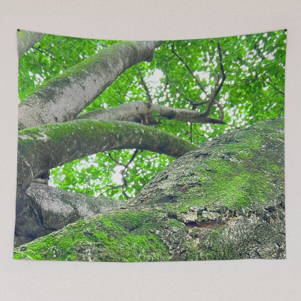 Item preview, Wise Woods designed and sold by phillcreations.
