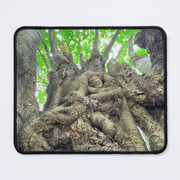 Item preview, Mystical Tree designed and sold by phillcreations.