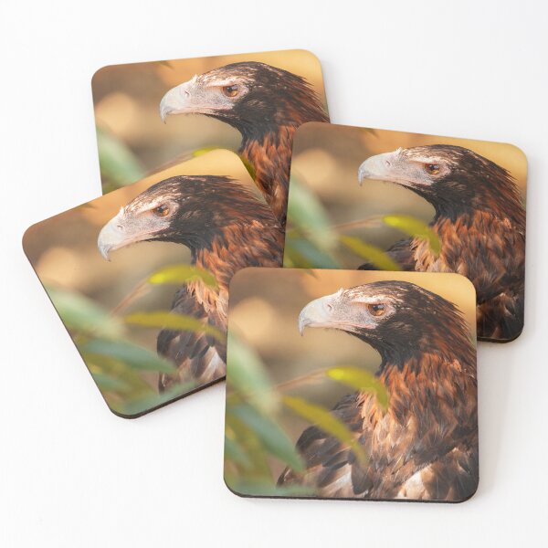 Item preview, Wedge-tailed Eagle designed and sold by robdanimalphotography.