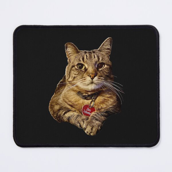 Item preview, Zen Master, Cat designed and sold by aadventures.