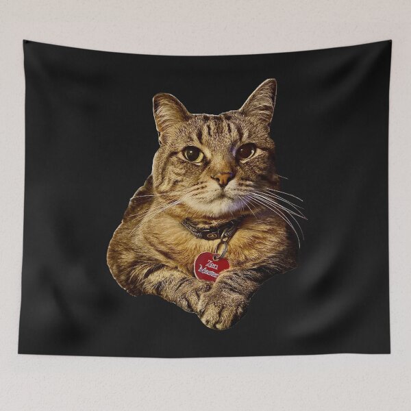 Item preview, Zen Master, Cat designed and sold by aadventures.
