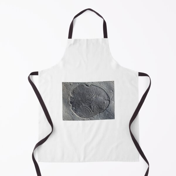 Item preview, dickinsonia fossil designed and sold by tombrookes07.