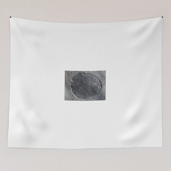 Item preview, dickinsonia fossil designed and sold by tombrookes07.