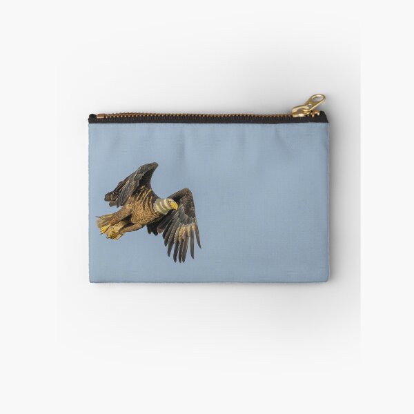 Item preview, Bald Eagle in Flight at Sunrise designed and sold by Puttaswamy Ravishankar.
