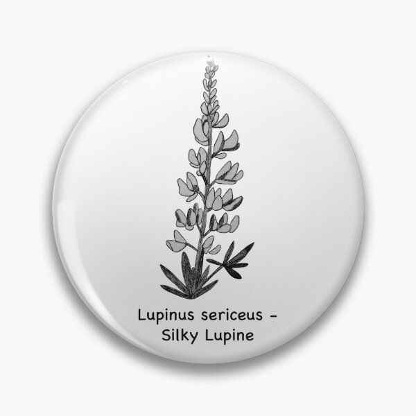 Artikelvorschau, Seidenlupine - Lupinus sericeus entworfen und verkauft von scarpacific.