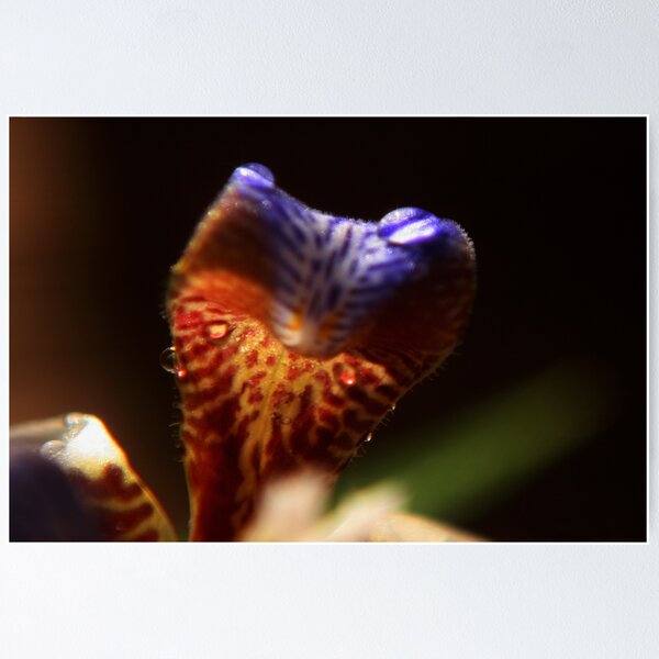 Item preview, Natures Dragon designed and sold by Cheri Bouvier-Johnson.
