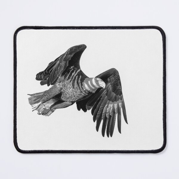 Item preview, Bald Eagle Hunting to feed its babies designed and sold by Puttaswamy Ravishankar.