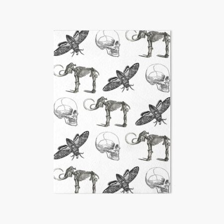 Moth & Skull Art Board Print