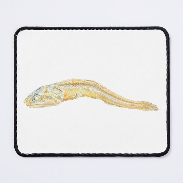 Item preview, Dried Fish designed and sold by Bobo-fish.