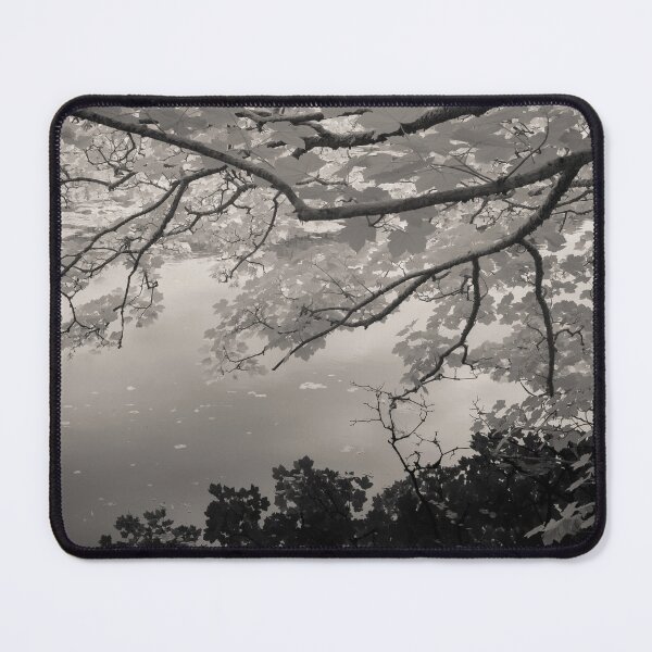 Item preview, Bosherston Lakes designed and sold by David Bowman.