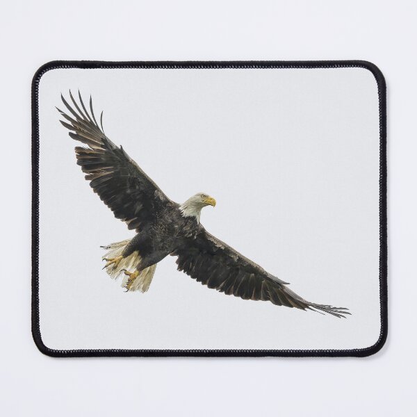 Item preview, Bald Eagle with wings spread designed and sold by Puttaswamy Ravishankar.