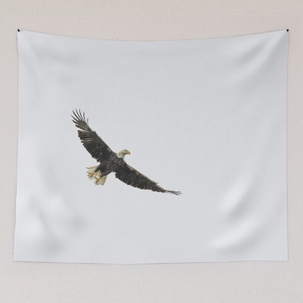 Item preview, Bald Eagle with wings spread designed and sold by Puttaswamy Ravishankar.