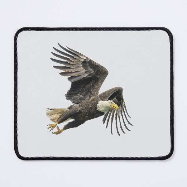 Item preview, Bald Eagle getting ready to hunt designed and sold by Puttaswamy Ravishankar.