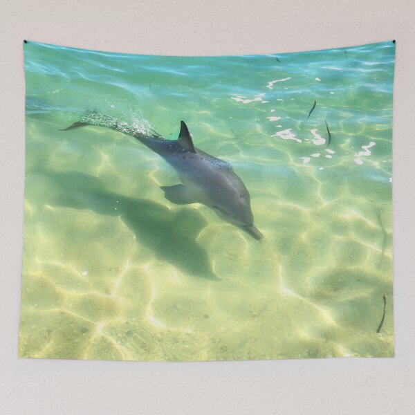 Item preview, Samu 3 , Monkey Mia, Shark Bay designed and sold by Dave Catley.