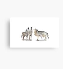 Living dangerously Canvas Print