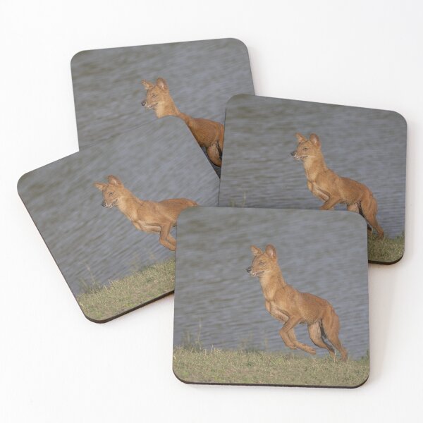 Item preview, Dhole Near a Lake designed and sold by Puttaswamy Ravishankar.