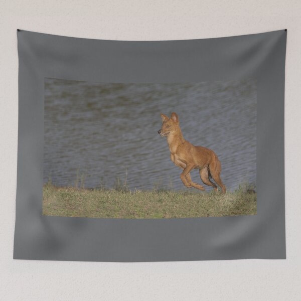 Item preview, Dhole Near a Lake designed and sold by Puttaswamy Ravishankar.