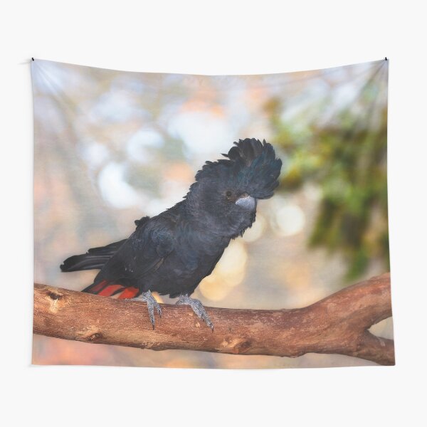 Raf the Red Tailed Black Cockatoo, Native Animal Rescue, Perth Tapestry