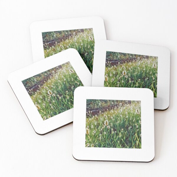 Item preview, Wild grass and the evening light designed and sold by KalpisCreations.