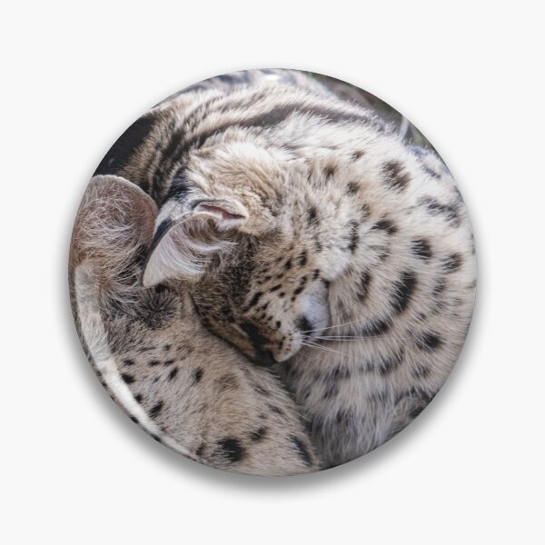 Item preview, Serval with baby designed and sold by Ingo Gerlach.