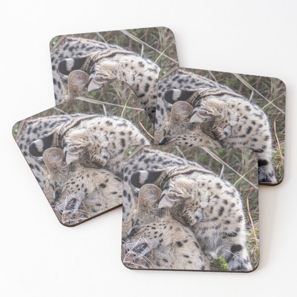 Item preview, Serval with baby designed and sold by Ingo Gerlach.