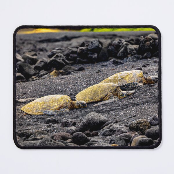 Item preview, The Turtles of The Black Sand designed and sold by George Buckley.