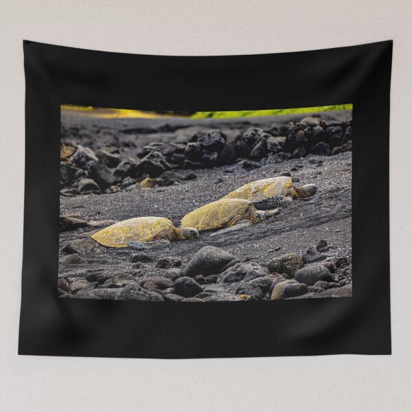 Item preview, The Turtles of The Black Sand designed and sold by George Buckley.