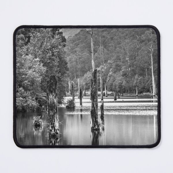 Item preview, Lake Elizabeth 2 designed and sold by Christine Wilson.